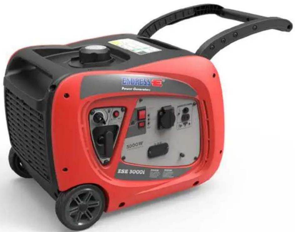 Endress ESE 3000 i - Перевод оригинальной инструкции по эксплуатации - 1