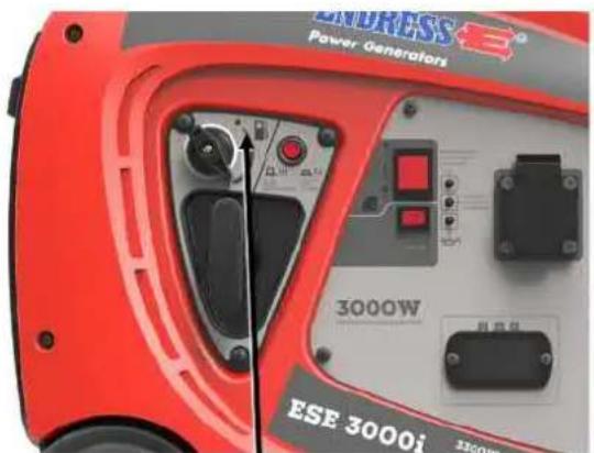 Endress ESE 3000 i - Use of wrong or outdated fuel damages or destroys the engine. - 1