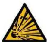 Endress ESE 3000 i - DANGER! - 1