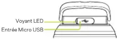 Voyant LED Entrée Micro USB