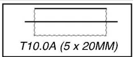 T10.0A (5 x 20MM)