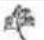 Sogo SS14555 - How to use the butterfly rod - 5