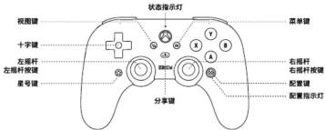 8BitDo Pro 2 - 4