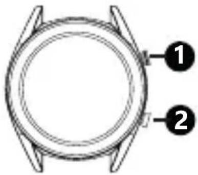 Motus Watchy Teddy Geometric - Przycisk boczny dolny (2): - 1