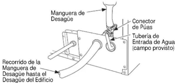 Manguera de Desagüe Conector de Púas Tubería de Entrada de Agua (campo provisto) Recorrido de la Manguera de Desagüe hasta el Desagüe del Edificio