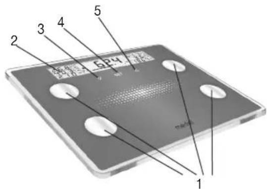 Medel Diagnostic XXL - Gerätebeschreibung - 1