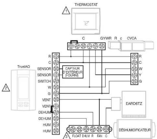HONEYWELL DR65A3000 - Câblage (suite) - 1