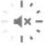 HONEYWELL RDWL515P2000 - Set the Mute - 3