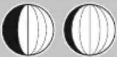 HAMA Black Line Plus 186418 - Phaseslunaires - 4