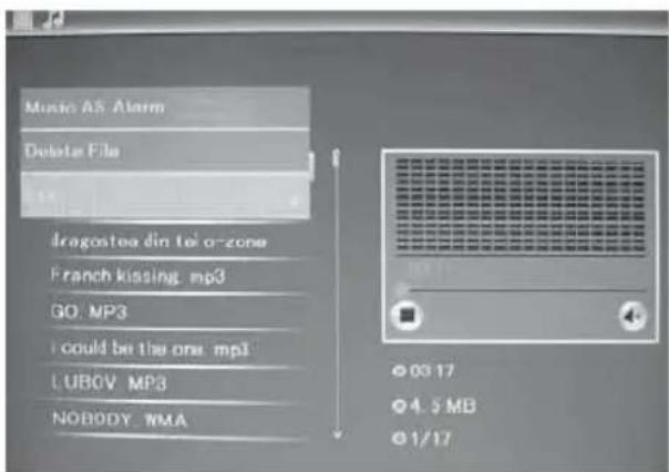 BRAUN DigiFrame 1587 - Funzione di Cancellazione - 1