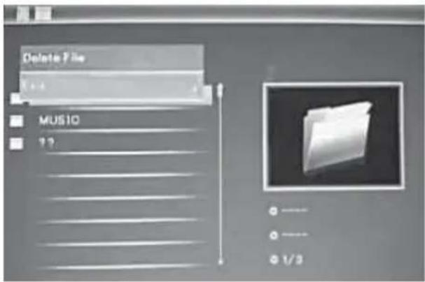 BRAUN DigiFrame 1587 - Borrar función - 1