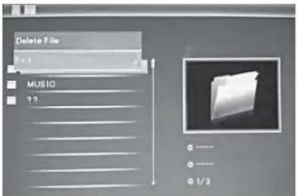 BRAUN DigiFrame 1587 - Funzione Elimina - 1