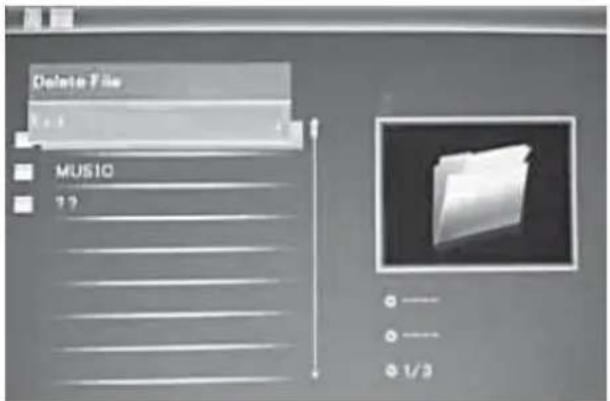 BRAUN DigiFrame 1587 - Datei Löschen - 1