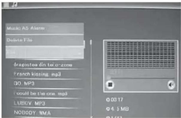 BRAUN DigiFrame 1587 - Delete function - 1