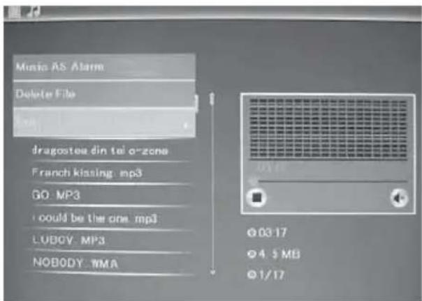 BRAUN DigiFrame 1587 - Fonction supprimer - 1