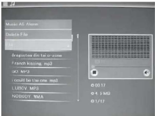 BRAUN DigiFrame 1587 - Raderingsfunktion - 1