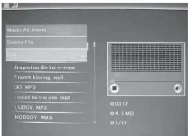 BRAUN DigiFrame 1587 - Función de borrado - 1