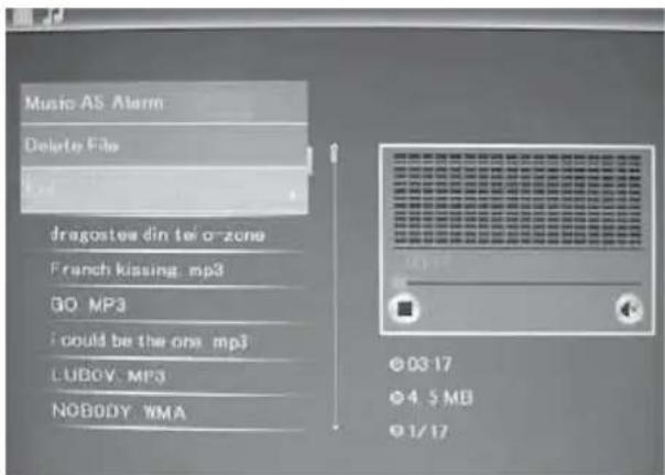 BRAUN DigiFrame 1587 - Função de apagar - 1