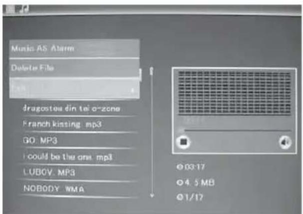 BRAUN DigiFrame 1587 - Delete functie - 1