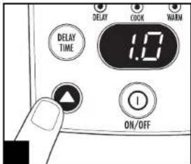 DELAY TIME 1.0 ON/OFF