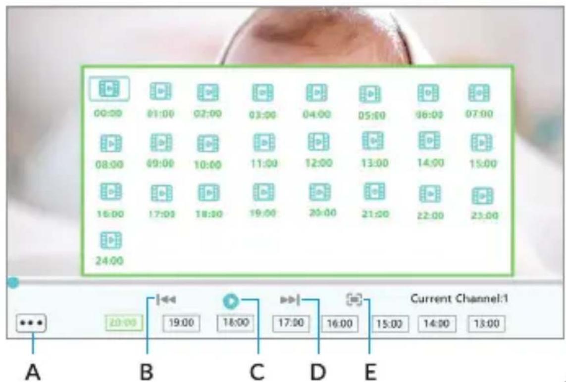 Lionelo Babyline 6.2 - 40