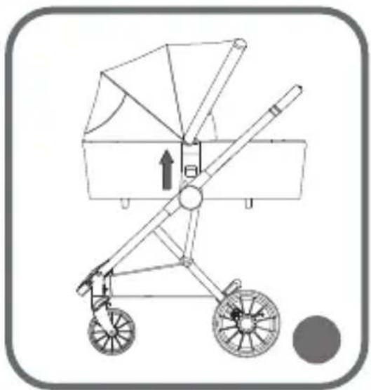 Lionelo Riya - 25