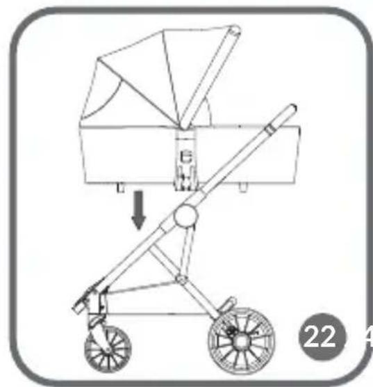 Lionelo Riya - 23