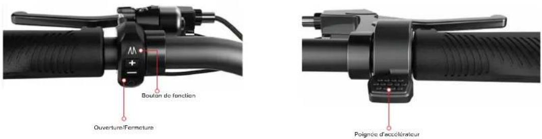 Motus Pro 10 - Description de l'opération - 3
