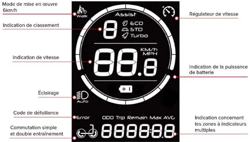 Motus Pro 10 - DE - 24