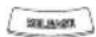 RYOBI RY36STX45A - TÄMÄN KÄSIKIRJAN SYMBOLIT - 5