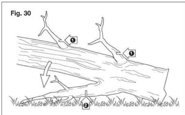 Fig. 30 ① ① ②