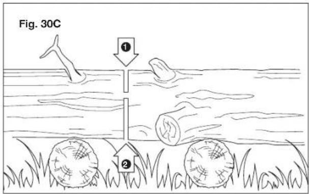 Fig. 30C ① ②