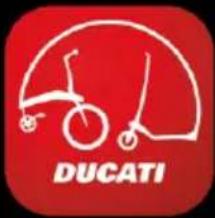 DUCATI PROII EVO - Domet - 12