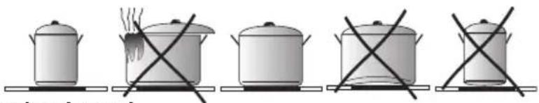 AMICA EHIX 933 133 S - Keuze van het kookgerei voor het koken op een inductiekookzone - 1