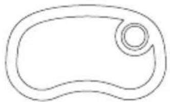 Lionelo Fidi Go - 4