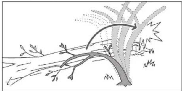 RYOBI RY18PSX10A - DESRAMADO UN ÁRBOL - 2