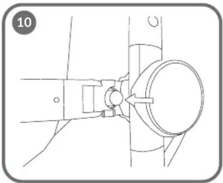 Lionelo Alexia - 10