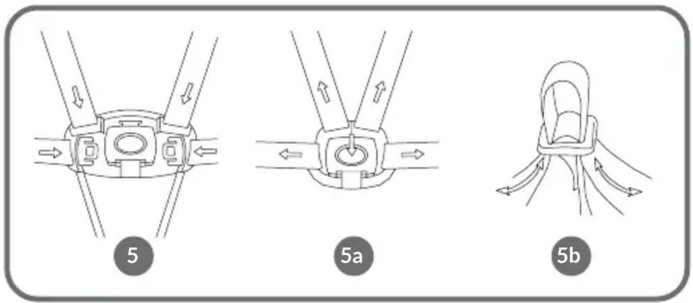 5 5a 5b