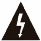 Pyle PDA29BU - CAUTION: TO REDUCE THE RISK OF ELECTRIC SHOCK, DO NOT REMOVE THE COVER OF THIS UNIT. THERE ARE NO USER SERVICEABLE PARTS INSIDE. REFER ALL SERVICING TO A QUALIFIED TECHNICIAN. - 1
