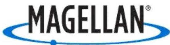 MAGELLAN MiVue 240 - 1