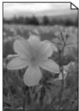 CANON MAXIFY GX4050 - Impression en noir et blanc - 1