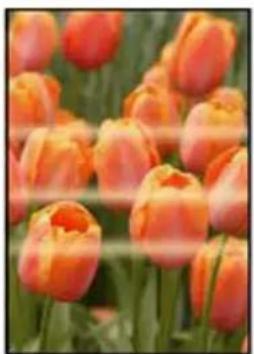 CANON MAXIFY GX4050 - Couleurs inégales ou striées - 1