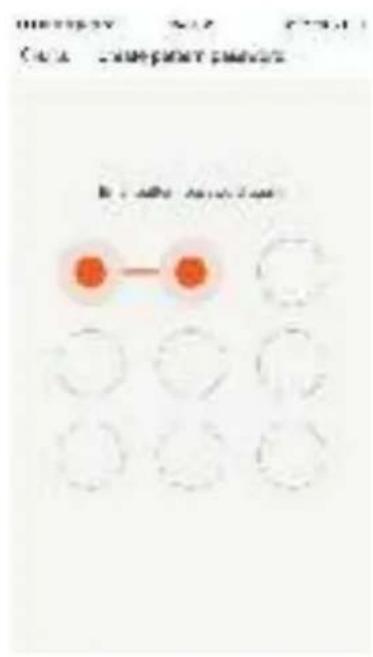 SereneLife SLPAC105W - Profile-Pattern Unlock - 2