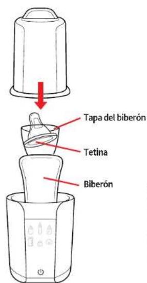 CHICCO Digital Bottle Warmer & Sterilizer - ESTERILIZACIÓN: PASO 3 - 2