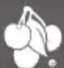 Cherry LADY MT1010 - 1