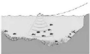 Lucky FF718LICW - Verwendung des drahtlosen Sonar-Sensors - 1