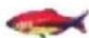 Lucky FF718LICW - Fish Alarm— - 5
