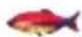 Lucky FF718LICW - Allarme Pesce - 6