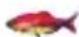 Lucky FF718LICW - Fish Alarm— - 6
