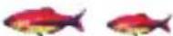 Lucky FF718LICW - Fisch Icon - 4